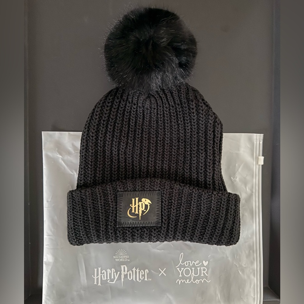 Harry Potter X Love Your Melon Adult Pom Hat
